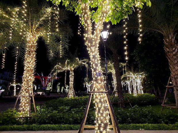Qu?n ?èn day trang trí Led ??p trên than cay t?i H?i Phòng