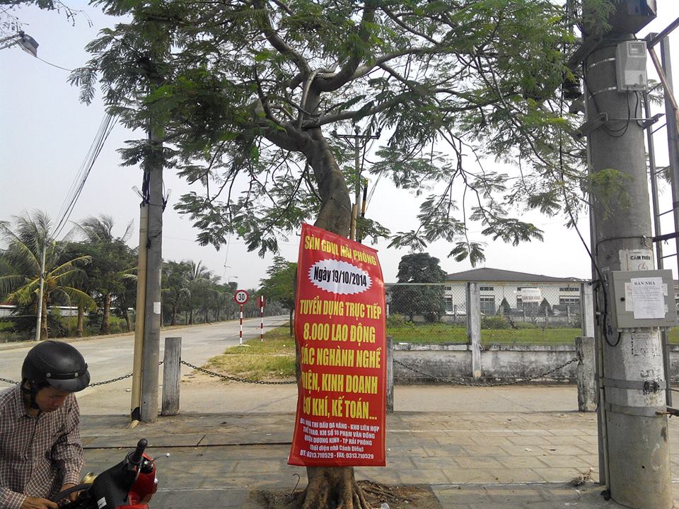 trao-bang-tron-tai-duong-kinh-hai-phong-10-14