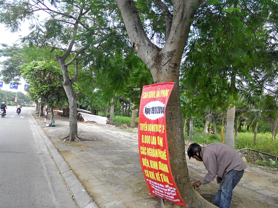 trao-bang-tron-tai-duong-kinh-hai-phong-10-08