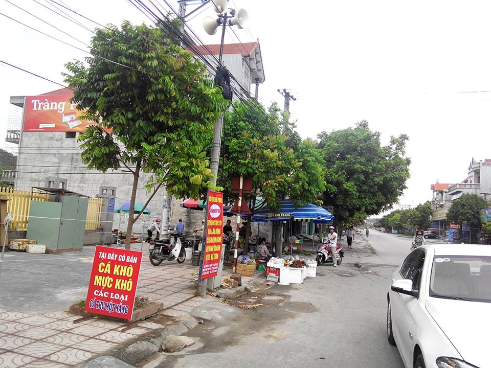 trao-bang-tron-tai-thuy-nguyen-hai-phong-10-11