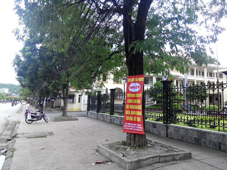 trao-bang-tron-tai-thuy-nguyen-hai-phong-10-14