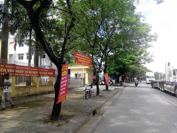 san giao dich viec lam thang 08 15