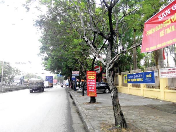 san giao dich viec lam thang 10 01