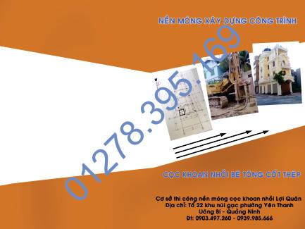 ho so nang luc manh quan 01