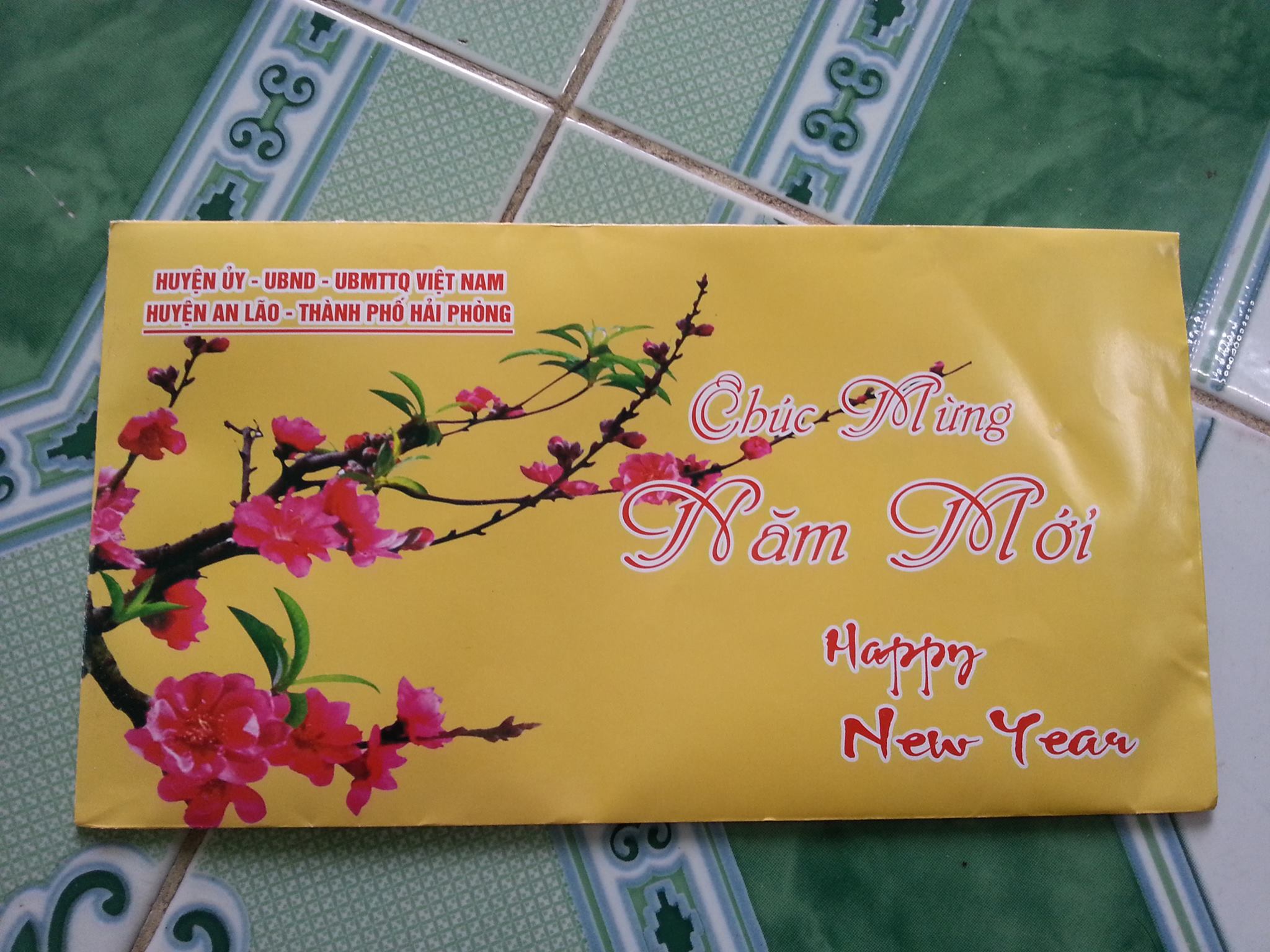 thiep chuc mung nam moi huyen an lao 06