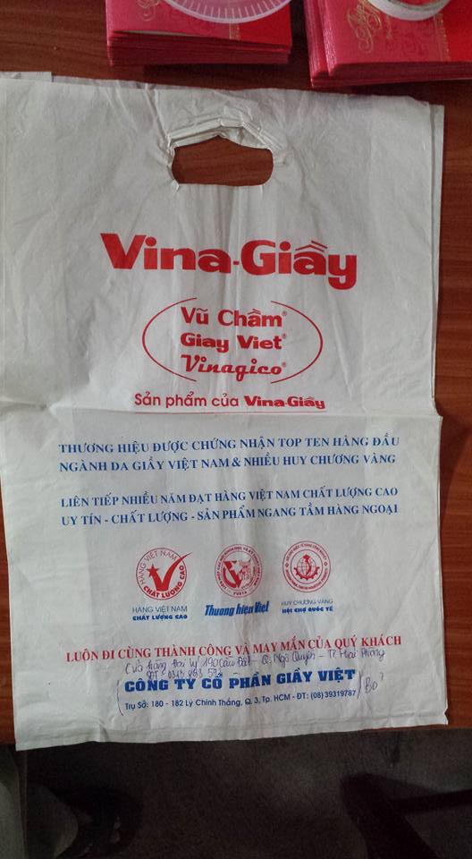 in tui vina giay cau dat hai phong 02
